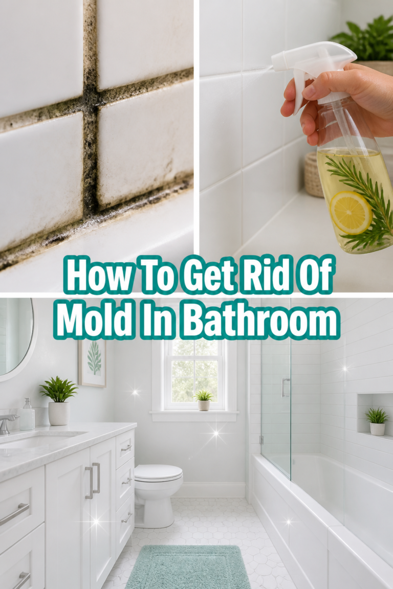 🧼 How To Get Rid Of Mold In Bathroom